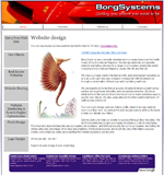 Borg Systems Website Designers in Puerto Plata, Sosua, Cabarete Dominican Republic